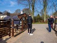 WG250322-13 - Warren Greatrex Stable Visit